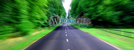 Otimizar seu WordPress